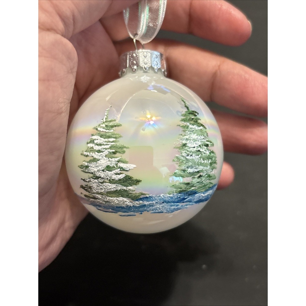 Silent Night Splendor Iridescent Winter Christmas Glass Ball Ornament Holidays